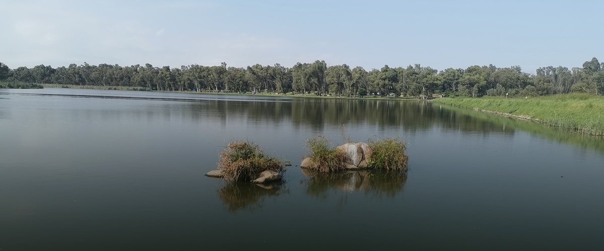A dam in Gauteng near Edenvale